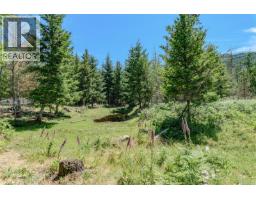 1890 Sooke Lake (off) Rd, Shawnigan Lake, BC V8H2C2 Photo 90