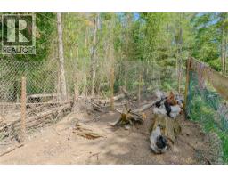 1890 Sooke Lake (off) Rd, Shawnigan Lake, BC V8H2C2 Photo 74