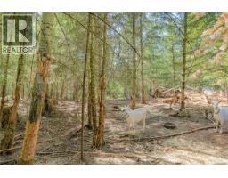 1890 Sooke Lake (off) Rd, Shawnigan Lake, BC V8H2C2 Photo 70