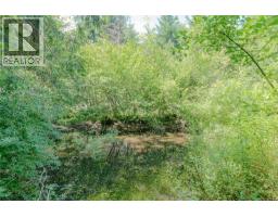 1890 Sooke Lake (off) Rd, Shawnigan Lake, BC V8H2C2 Photo 59