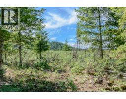 1890 Sooke Lake (off) Rd, Shawnigan Lake, BC V8H2C2 Photo 91