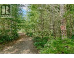 1890 Sooke Lake (off) Rd, Shawnigan Lake, BC V8H2C2 Photo 87