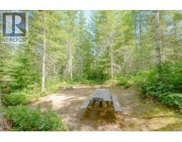 1890 Sooke Lake (off) Rd, Shawnigan Lake, BC V8H2C2 Photo 88