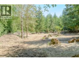 1890 Sooke Lake (off) Rd, Shawnigan Lake, BC V8H2C2 Photo 64