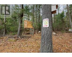 Lot 31 Pioneer Road, Bonfield, ON P0H2E0 Photo 36