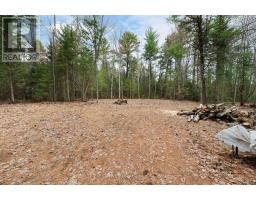 Lot 31 Pioneer Road, Bonfield, ON P0H2E0 Photo 37