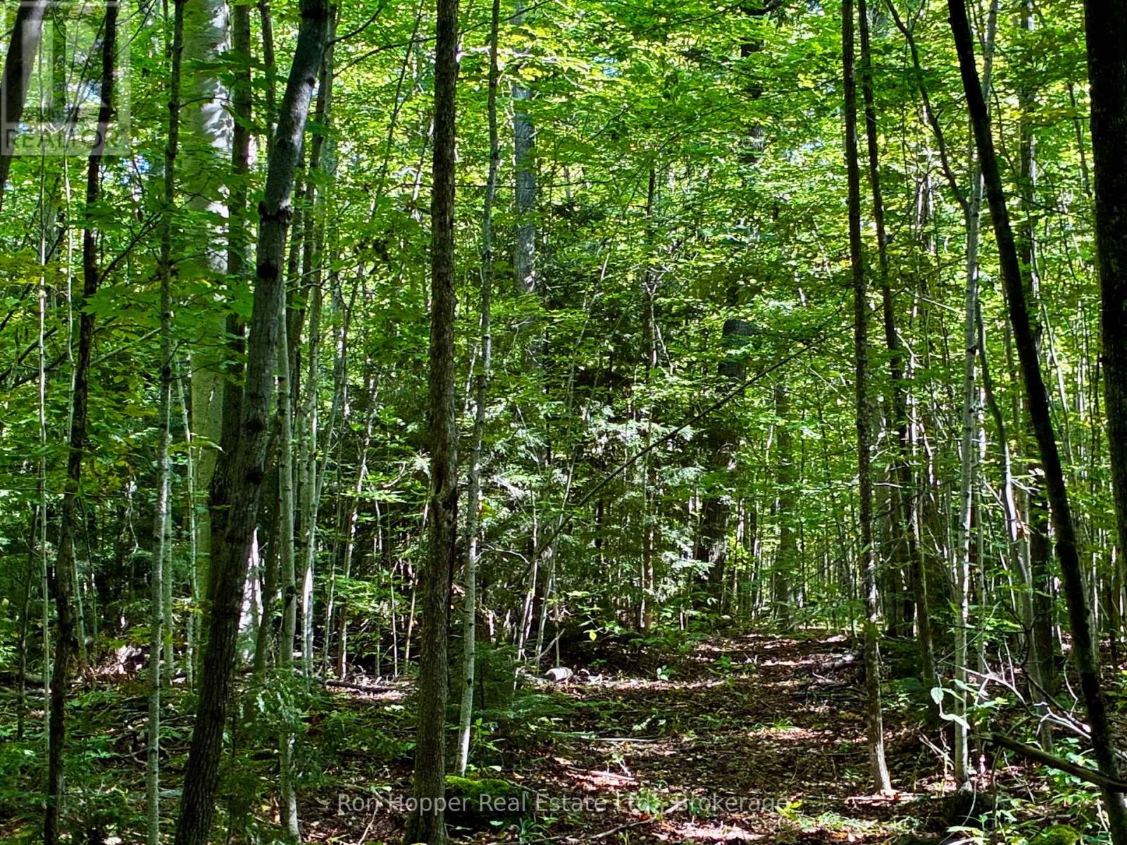 PT LT 4 CONC. RD 6 CONCESSION, Meaford — photo 9