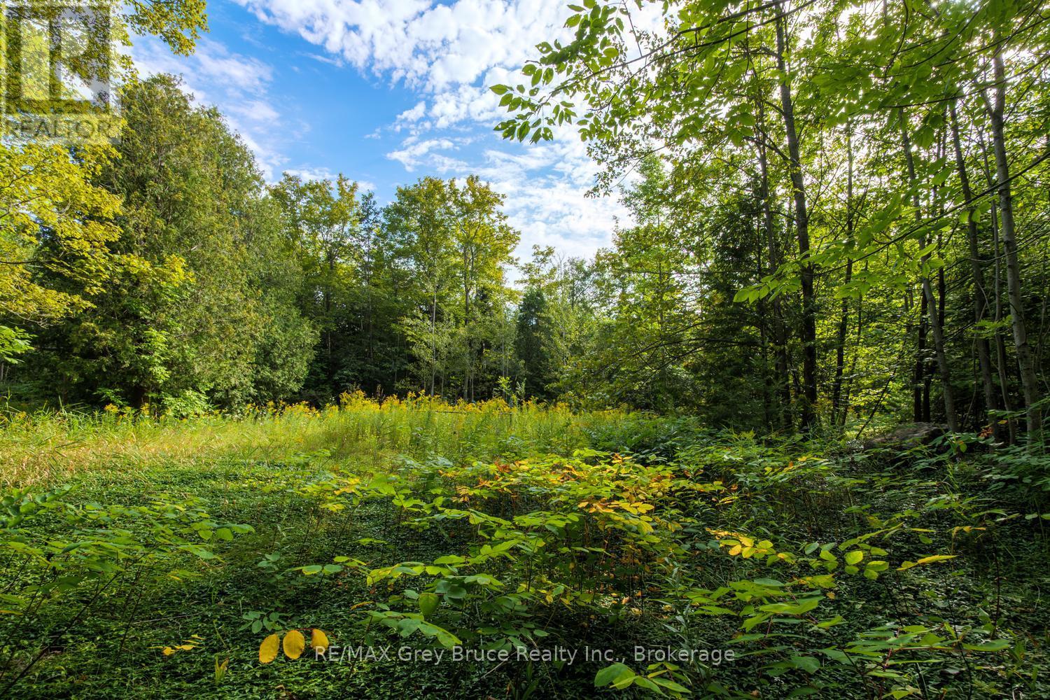 1477 HIGHWAY 6 HIGHWAY - Image 45