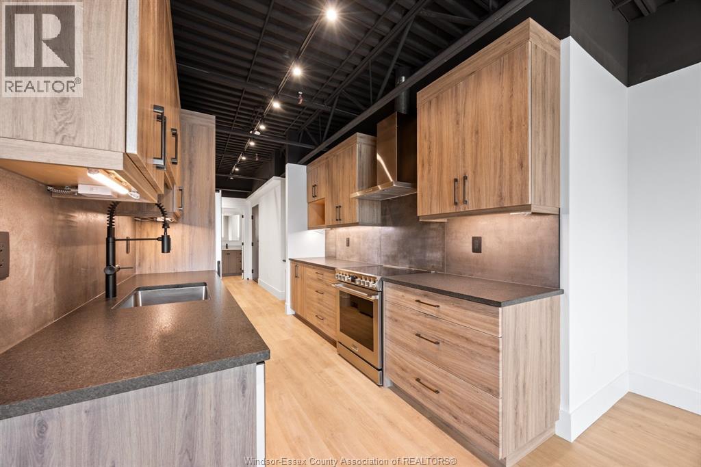3850 DOUGALL Unit# 209, Windsor — photo 3
