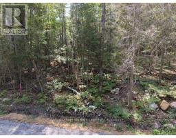 131 Ninovan Road W, Callander, ON P0H1H0 Photo 11