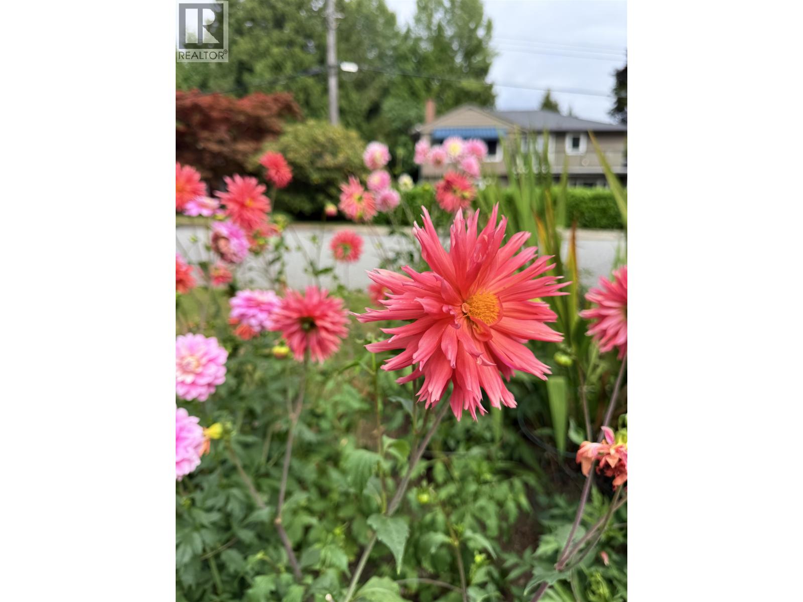 2161 FLORALYNN CRESCENT, North Vancouver