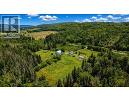 2606 Highway 252, Nevada Valley, NS B0E3M0 Photo 43