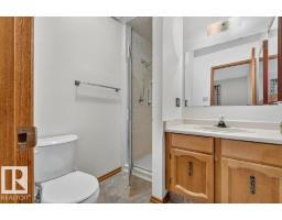 10423 33 Av Nw, Edmonton, AB T6J4B3 Photo 20