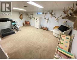 27 Reaman Avenue, Yorkton, SK S3N2B8 Photo 21