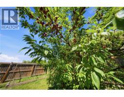 360 Dover Avenue, Port Dover, ON N0A1N9 Photo 33