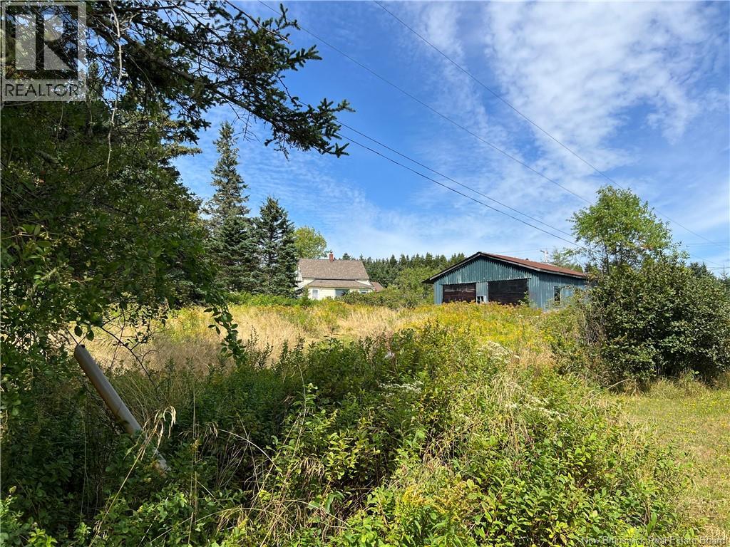 3316 Red Head Road - 12
