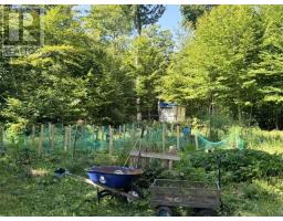 2895 Base Line Rd, Hilton Beach, ON P0R1G0 Photo 9