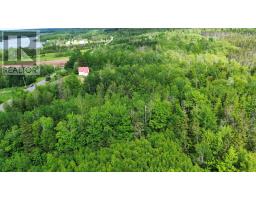 9902 204 Highway, South Victoria, NS B0M1P0 Photo 12