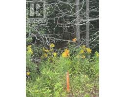 Lot Scenic Drive, Bible Hill, NS B2N5N9 Photo 8
