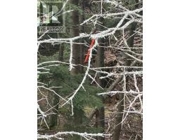 Lot Scenic Drive, Bible Hill, NS B2N5N9 Photo 7