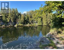 18 Clifton Street, Kawartha Lakes, ON K0M1N0 Photo 37