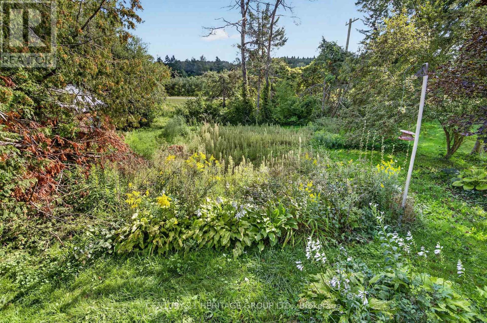 33 MINONEN ROAD - Image 38