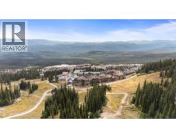 Kitchen - 7700 Porcupine Road Unit# 3-404, Big White, BC V1P1P3 Photo 9