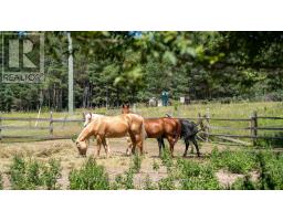 97 Thompson Drive, East Gwillimbury, ON L9N1E2 Photo 46