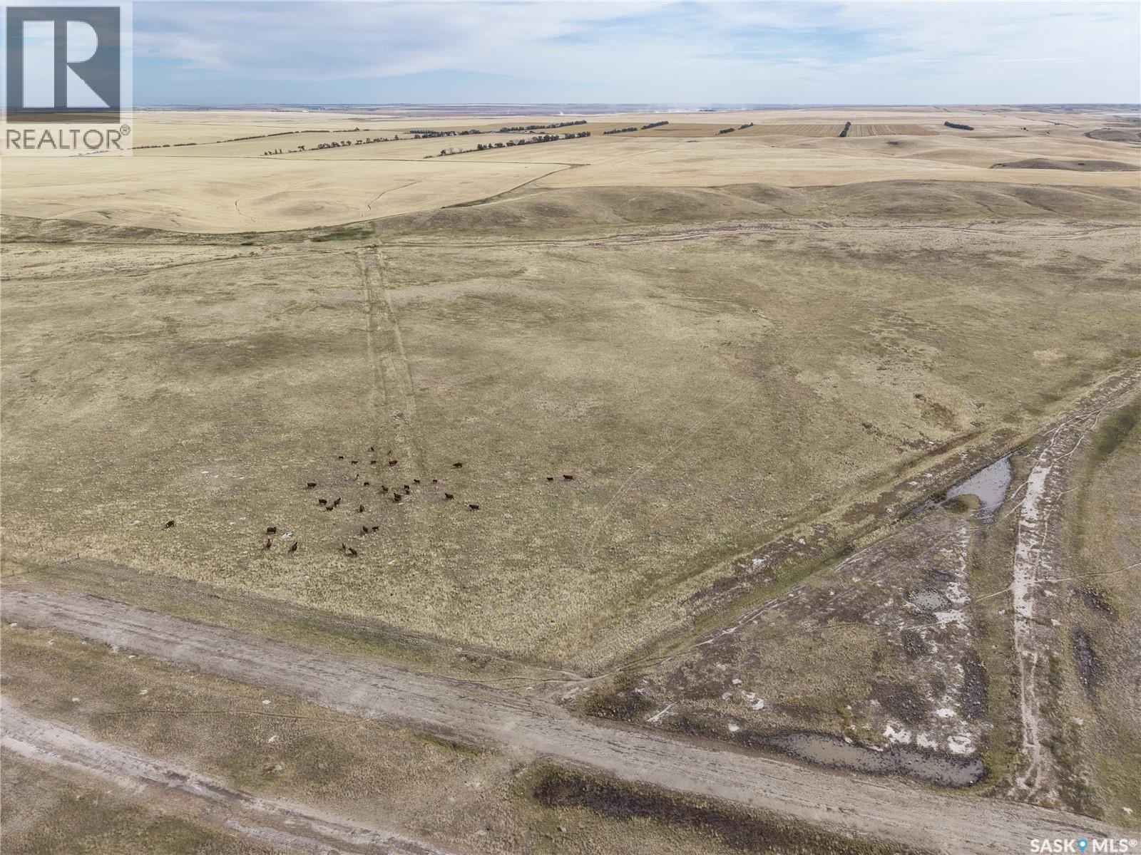 531.43 Acres Mixed Use Land Near Willow Bunch, Willow Bunch Rm No. 42 — photo 7