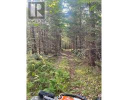14764 Highway 4, Johnstown, NS B0E3B0 Photo 10