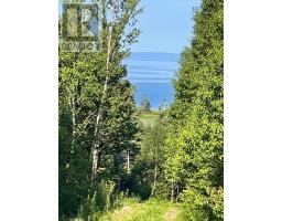 14764 Highway 4, Johnstown, NS B0E3B0 Photo 11