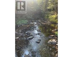 14764 Highway 4, Johnstown, NS B0E3B0 Photo 12