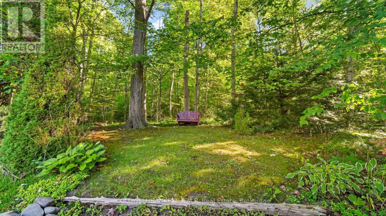 3621 Kennedy Road, Hamilton Township, ON photo 45
