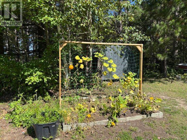 65 RIDGEMOUNT DRIVE, East Ferris (Corbeil) — photo 8