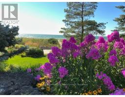 1036 River Road E, Wasaga Beach, ON L9Z2P7 Photo 45