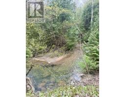 33 Slalom Gate Road, Collingwood, ON L9Y5A9 Photo 49