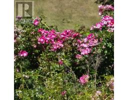 Utility room - Lot (pid 60298643) Italy Cross Road, Italy Cross, NS B4V0N3 Photo 14