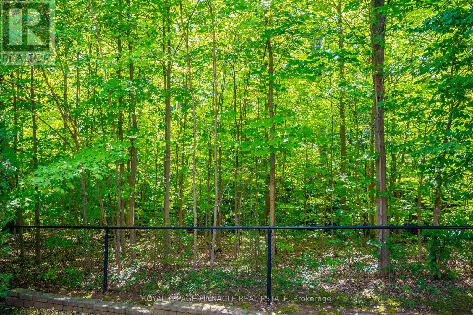 #13 2254 ROCKINGHAM DRIVE - 37