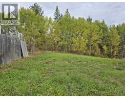 1916 Balsam Avenue, Quesnel, BC V2J3Y9 Photo 24
