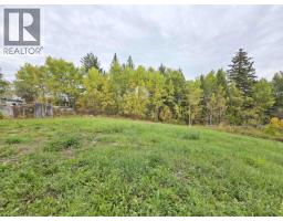1916 Balsam Avenue, Quesnel, BC V2J3Y9 Photo 22