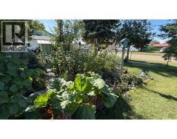 220 6 Avenue W, Hanna, AB T0J1P0 Photo 39