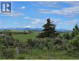 482074 144 Street W, Rural Foothills County, AB T1S1A1 Photo 47