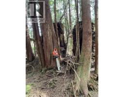 Lt 15 Mitchell Bay Rd, Malcolm Island, BC V0N3E0 Photo 25