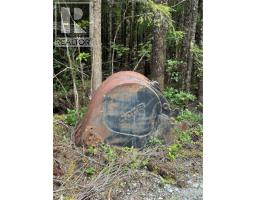 Lt 15 Mitchell Bay Rd, Malcolm Island, BC V0N3E0 Photo 35
