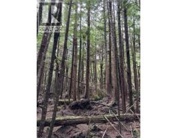 Lt 15 Mitchell Bay Rd, Malcolm Island, BC V0N3E0 Photo 47