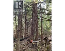Lt 15 Mitchell Bay Rd, Malcolm Island, BC V0N3E0 Photo 16