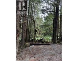 Lt 15 Mitchell Bay Rd, Malcolm Island, BC V0N3E0 Photo 29