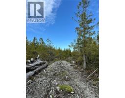 Lt 15 Mitchell Bay Rd, Malcolm Island, BC V0N3E0 Photo 39