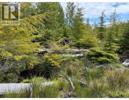 Lt 15 Mitchell Bay Rd, Malcolm Island, BC V0N3E0 Photo 40