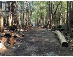 Lt 15 Mitchell Bay Rd, Malcolm Island, BC V0N3E0 Photo 6